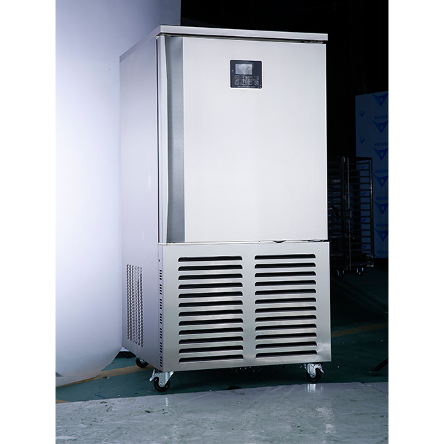 Роскошная однодверная шоковая заморозка с воздушным охлаждением (-40 °C) с 10 полками. Напряжение: 2&hellip;